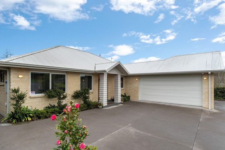 Photo of property in 17 Merriman Place, Pyes Pa, Tauranga, 3112
