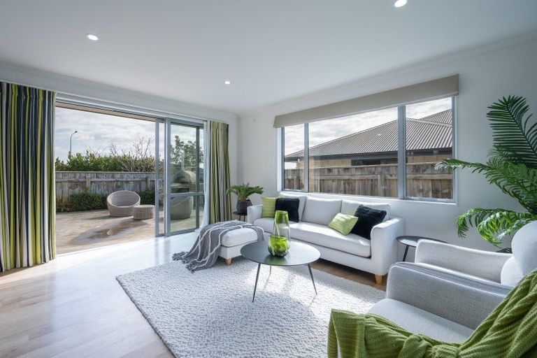 Photo of property in 17 Joyce Place, Richmond, 7020