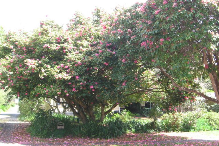 Photo of property in 25 Lewis Road, Lynmore, Rotorua, 3010