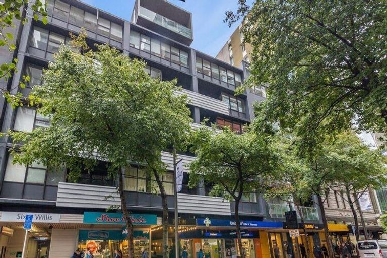 Photo of property in Gerondis Bldg Apartments, 205/60 Willis Street, Wellington Central, Wellington, 6011