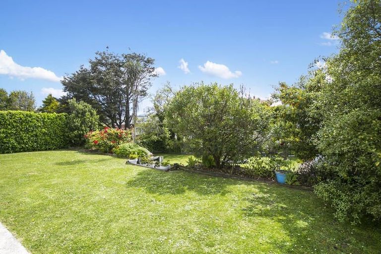 Photo of property in 23 Elliot Street, Andersons Bay, Dunedin, 9013