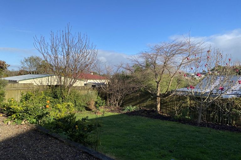 Photo of property in 29 Hinau Street, Maeroa, Hamilton, 3200