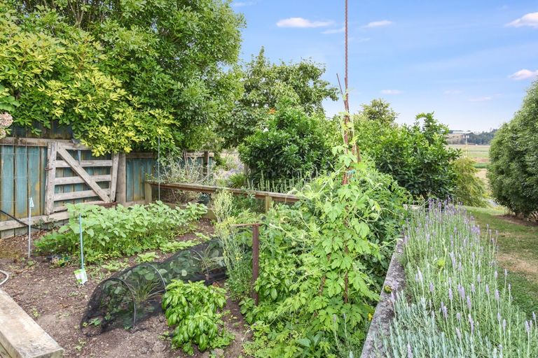 Photo of property in 218 Hampton Downs Road, Whangamarino, Te Kauwhata, 3782