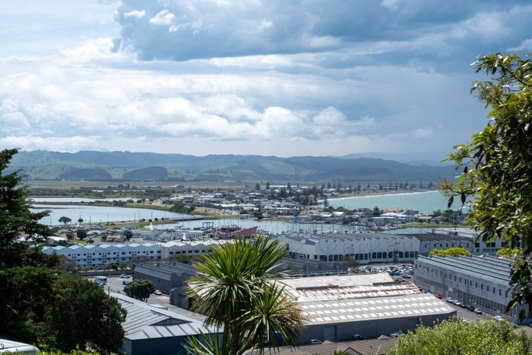 Photo of property in 8 Goldsmith Terrace, Hospital Hill, Napier, 4110