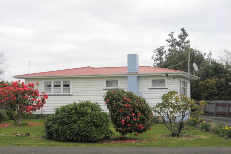 Photo of property in 24 Power Street, Levin, 5510