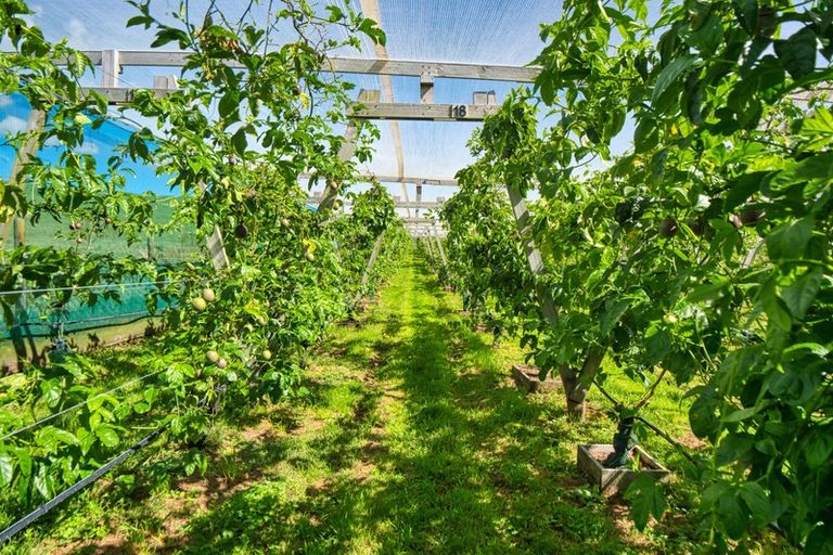 Photo of property in 427 Soldiers Road, Lower Kaimai, Tauranga, 3171