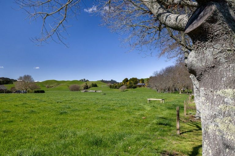 Photo of property in 186 Flume Road, Te Miro, Cambridge, 3496