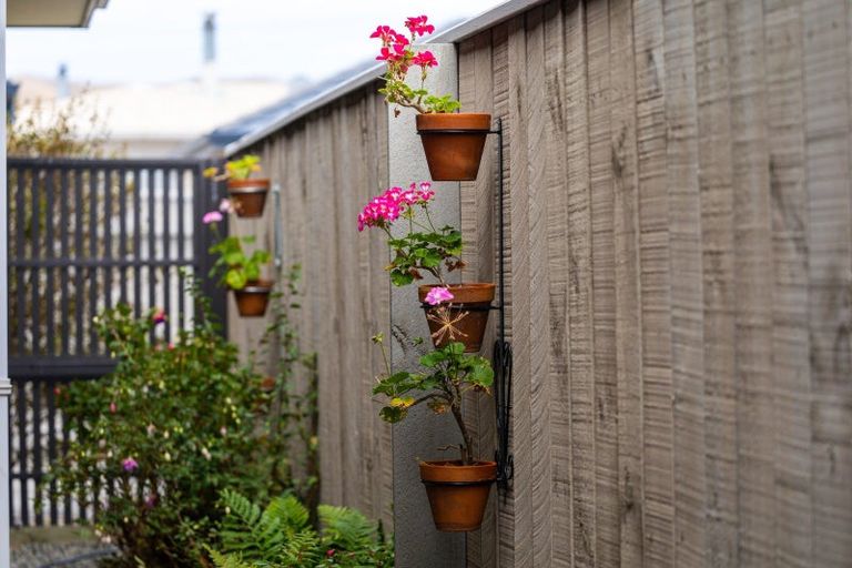 Photo of property in 142 Howick Road, Witherlea, Blenheim, 7201