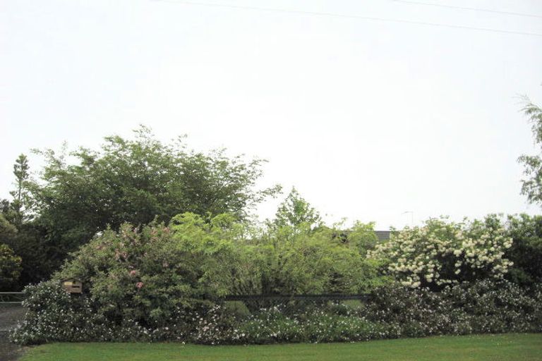 Photo of property in 90 Grant Road, Opotiki, 3122