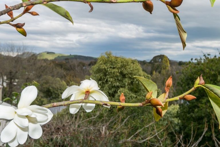 Photo of property in 56 Muritai Crescent, Havelock North, 4130