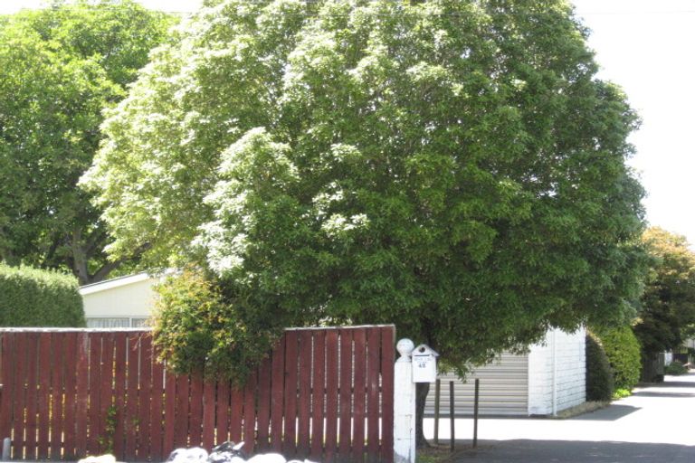 Photo of property in 40 Avonhead Road, Avonhead, Christchurch, 8042