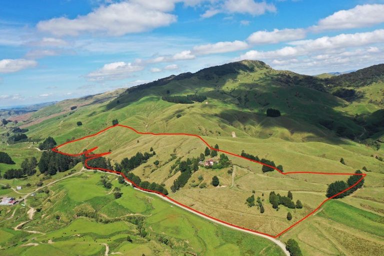 Photo of property in 3319 Whakarau Road, Motu, Te Karaka, 4092