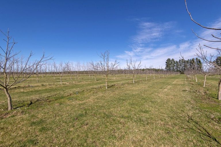 Photo of property in 150 Station Road, Kirwee, Christchurch, 7671