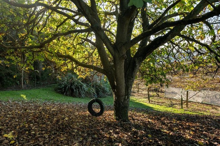 Photo of property in 267 Pongakawa Station Road, Pongakawa, Te Puke, 3186
