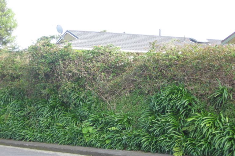 Photo of property in 1b Shortland Street, Lower Vogeltown, New Plymouth, 4310