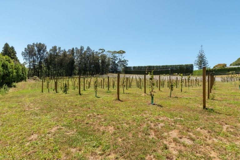 Photo of property in 195 Stewart Road, Whakamarama, Katikati, 3181