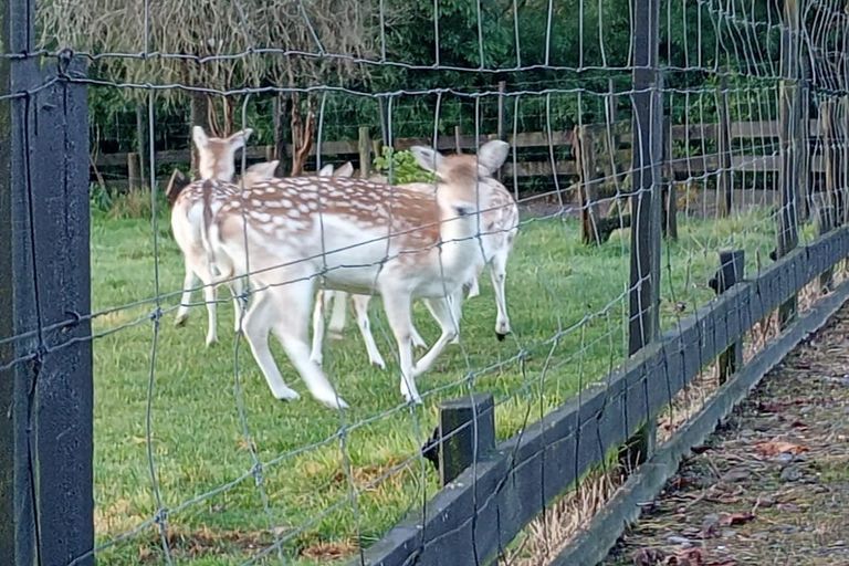 Photo of property in 288 Oropi Gorge Road, Oropi, Tauranga, 3173