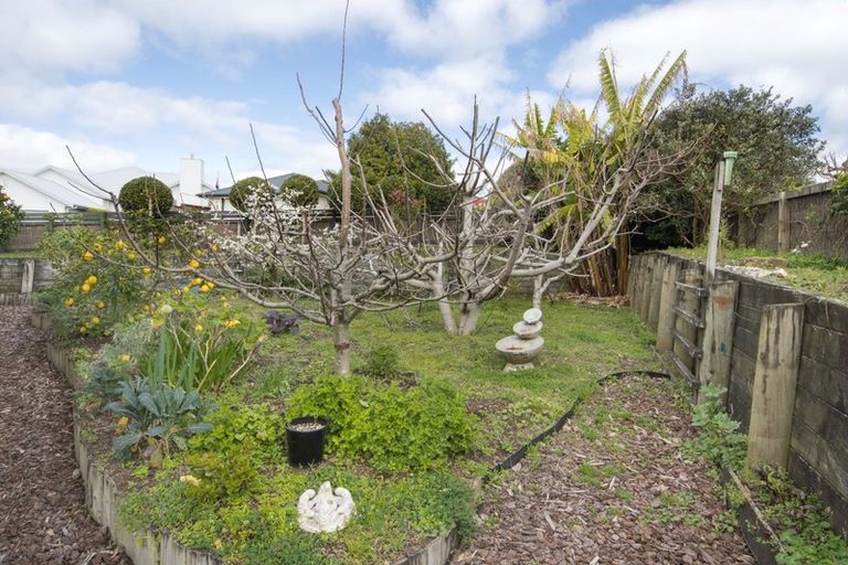 Photo of property in 55 Contour Avenue, Pyes Pa, Tauranga, 3112