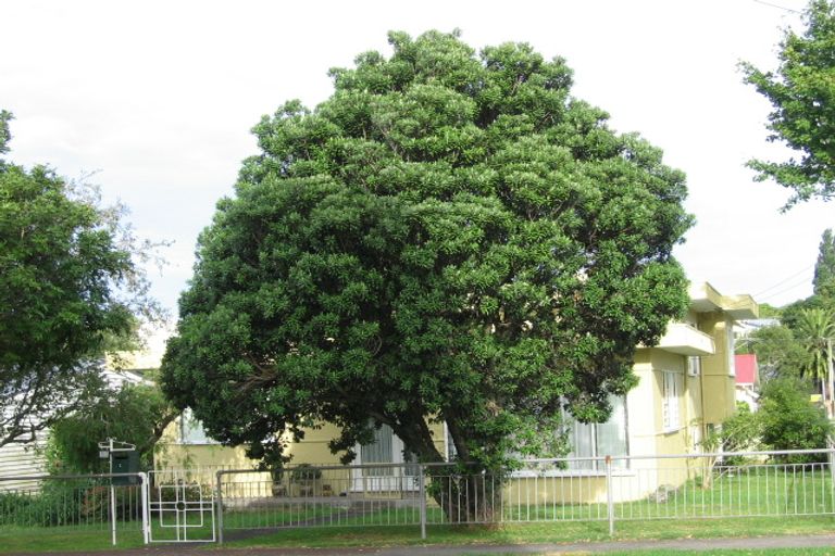 Photo of property in 1 Mark Road, Mount Albert, Auckland, 1025
