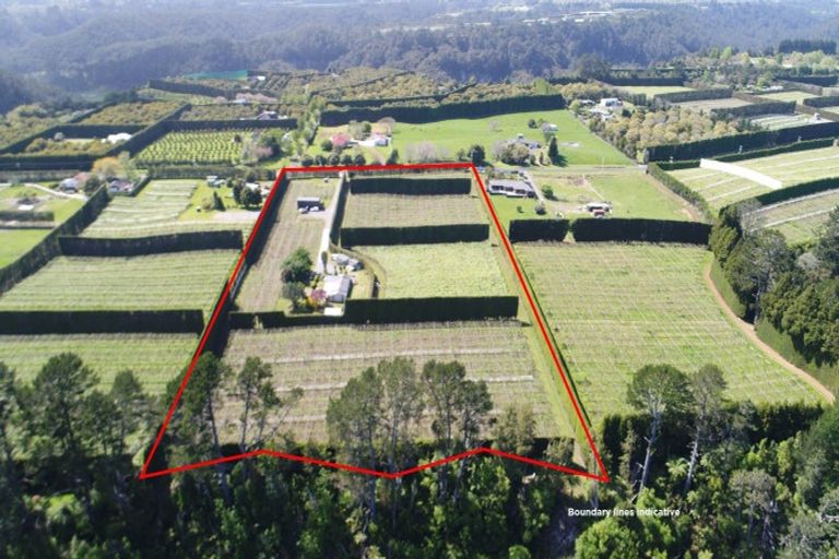 Photo of property in 566 Belk Road, Omanawa, Tauranga, 3171