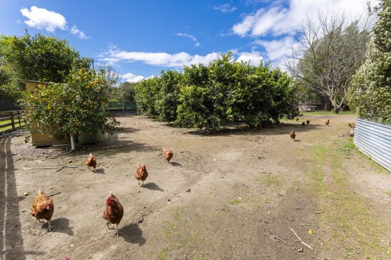 Photo of property in 312 King Road, Makauri, Gisborne, 4071