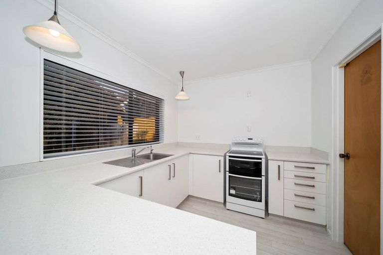 Photo of property in 82b Carrington Street, Lower Vogeltown, New Plymouth, 4310