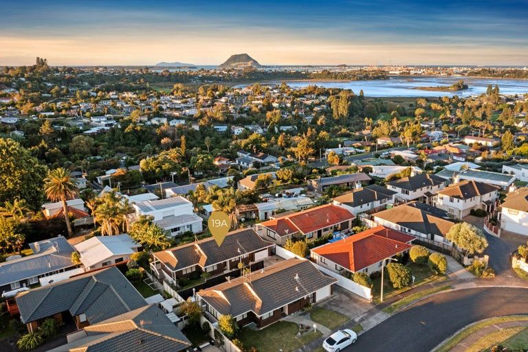 Photo of property in 19a Tekoah Place, Judea, Tauranga, 3110