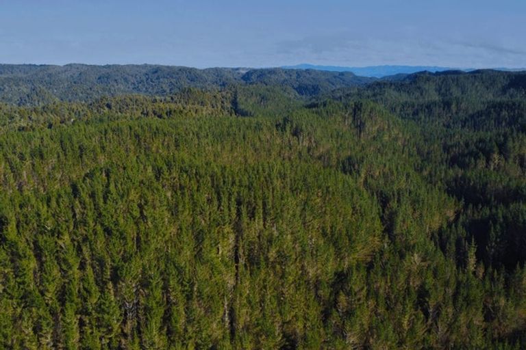 Photo of property in 3811 Waitotara Valley Road, Ngamatapouri, Whanganui, 4588