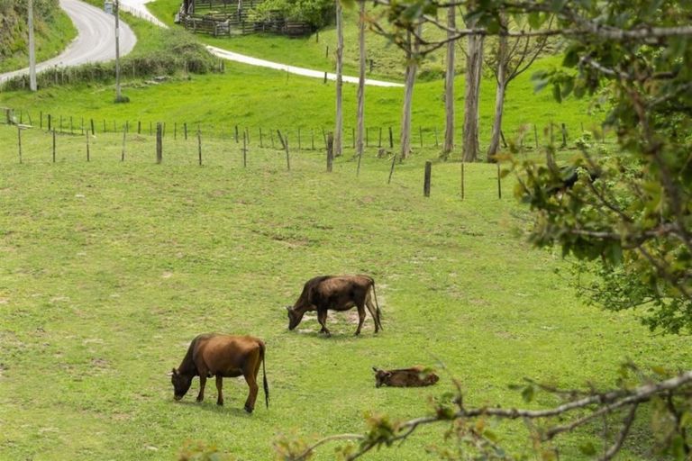 Photo of property in 245 Mangatoi Road, Oropi, Tauranga, 3173