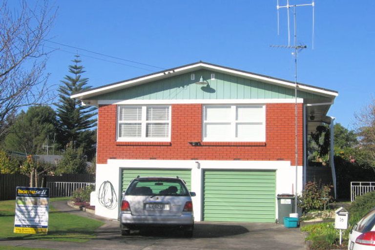 Photo of property in 16 Wake Street, Chartwell, Hamilton, 3210