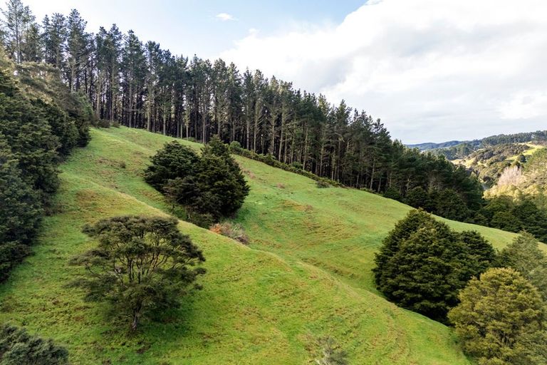 Photo of property in 2102 Waingaro Road, Waingaro, Ngaruawahia, 3793