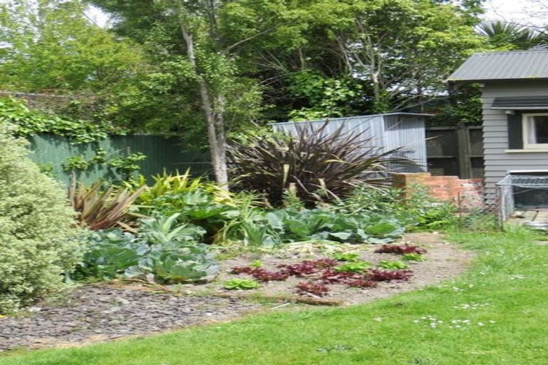 Photo of property in 374 College Street, Hokowhitu, Palmerston North, 4410