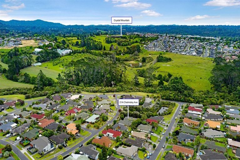 Photo of property in 21a Chelmsley Avenue, Henderson, Auckland, 0612