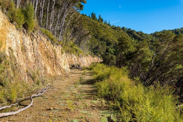 Photo of property in 2464 Port Underwood Road, Port Underwood, Picton, 7281