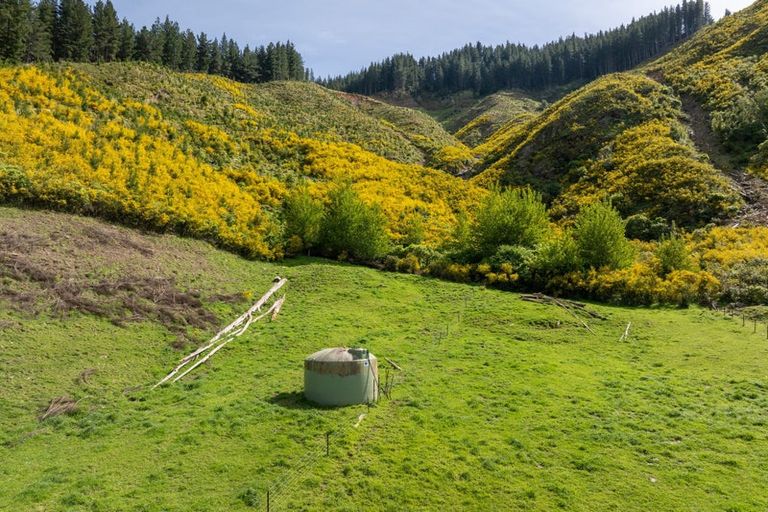 Photo of property in 208 Mount Riley Road, Okaramio, Havelock, 7178