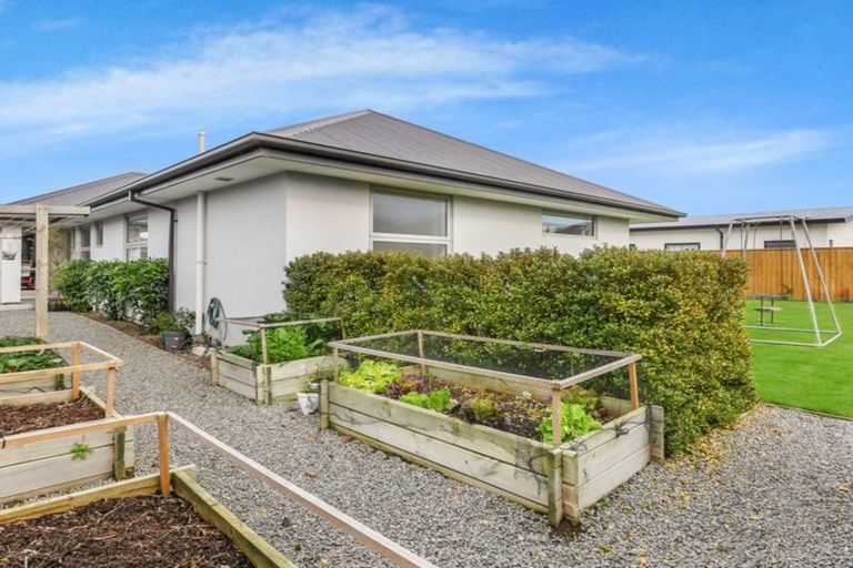 Photo of property in 34 Blue Jean Avenue, Rolleston, 7614