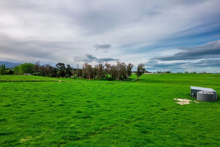 Photo of property in 38 Whitneys Road, Waimate, 7978
