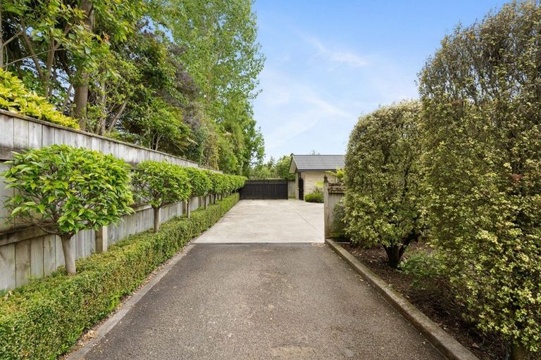 Photo of property in 87 Macarthur Street, Levin, 5510