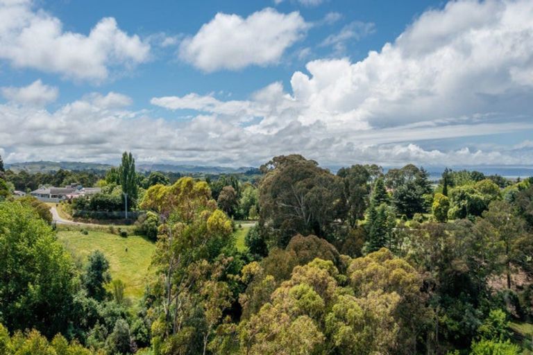 Photo of property in 88 Oak Road, Poraiti, Napier, 4112