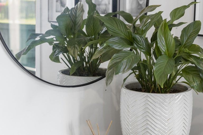 Photo of property in 8 Matau Close, Te Kauwhata, 3710