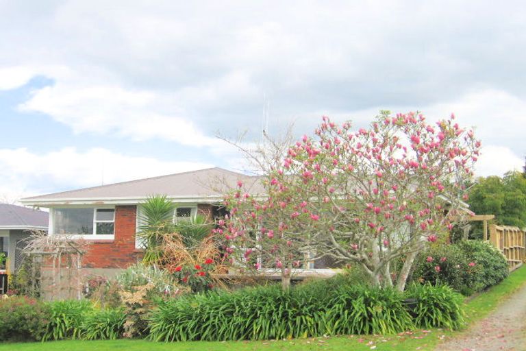Photo of property in 7 Wiremu Street, Brookfield, Tauranga, 3110