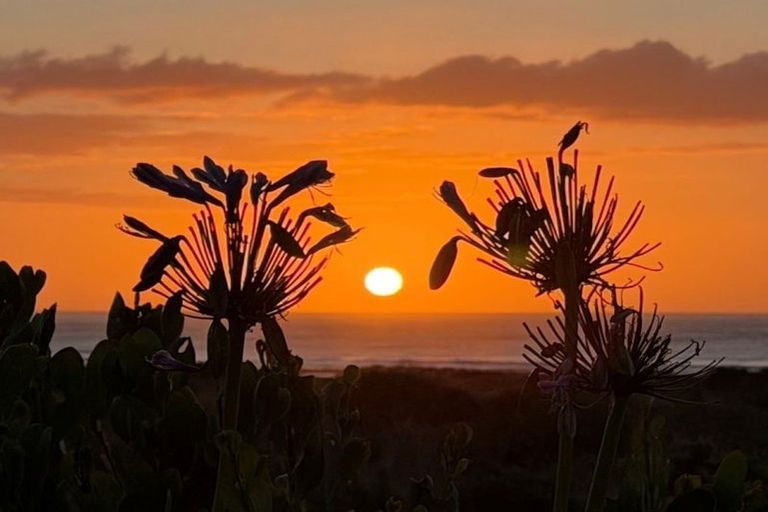 Photo of property in 7 Kent Avenue, Waitarere Beach, Levin, 5510