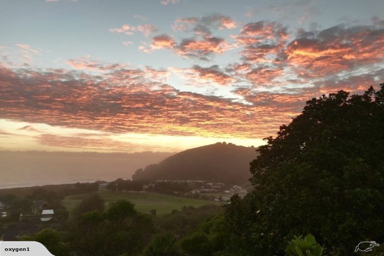 Photo of property in 78 Bowentown Boulevard, Bowentown, Katikati, 3177