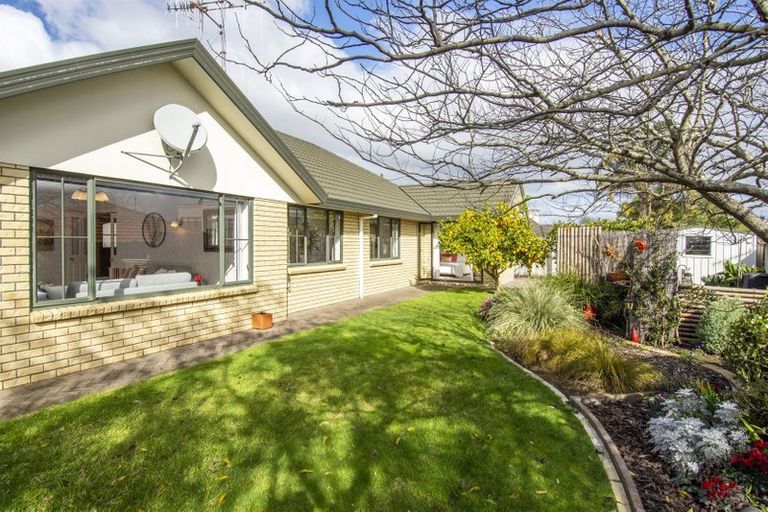 Photo of property in 53 Bethlehem Heights, Bethlehem, Tauranga, 3110