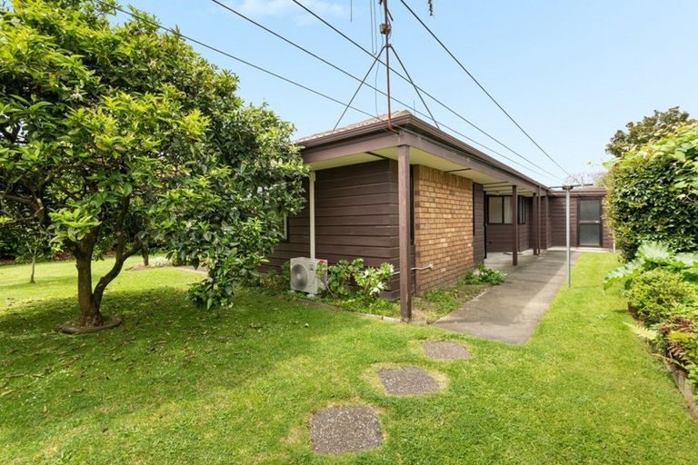 Photo of property in 3 Winchester Terrace, Bethlehem, Tauranga, 3110