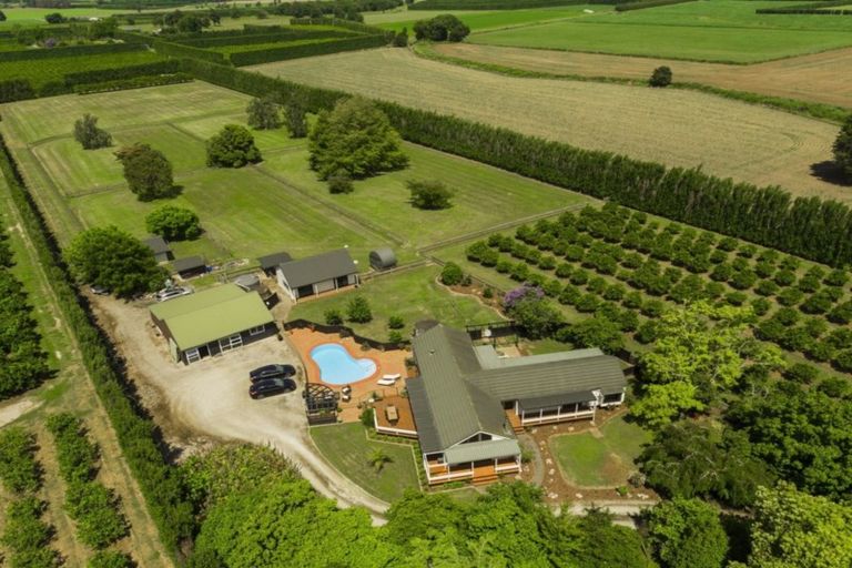 Photo of property in 862 Matawai Road, Ormond, Gisborne, 4071