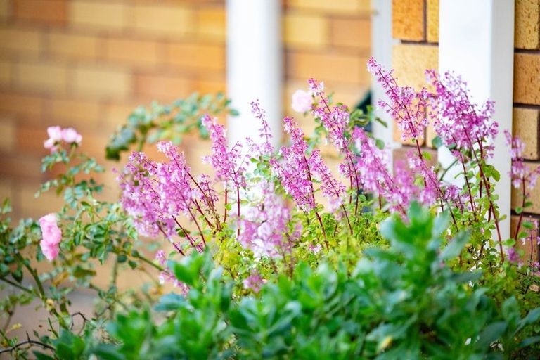 Photo of property in 10 Lochinver Drive, Nawton, Hamilton, 3200