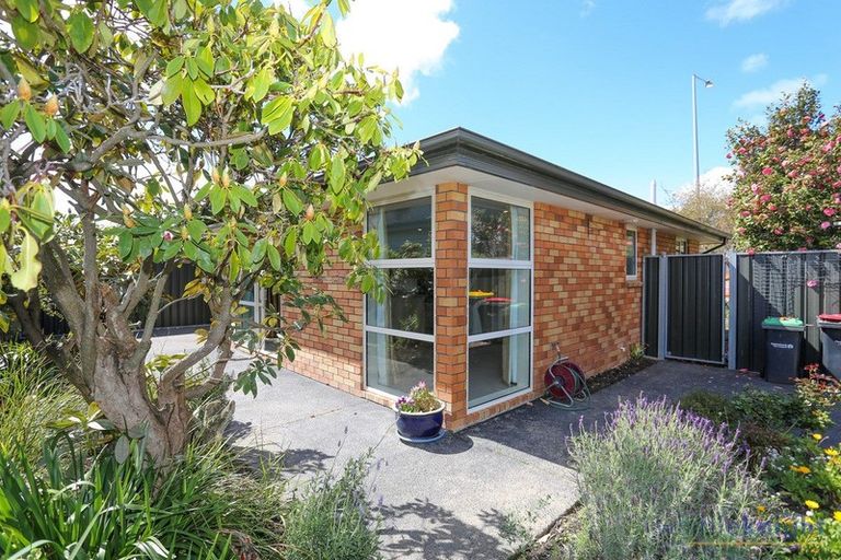 Photo of property in 87a Saint Martins Road, Saint Martins, Christchurch, 8022