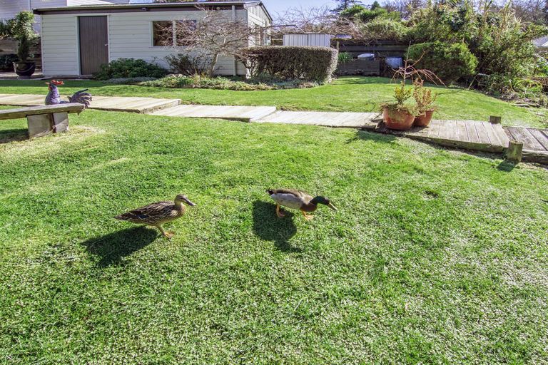 Photo of property in 5 Kereru Place, Masterton, 5810