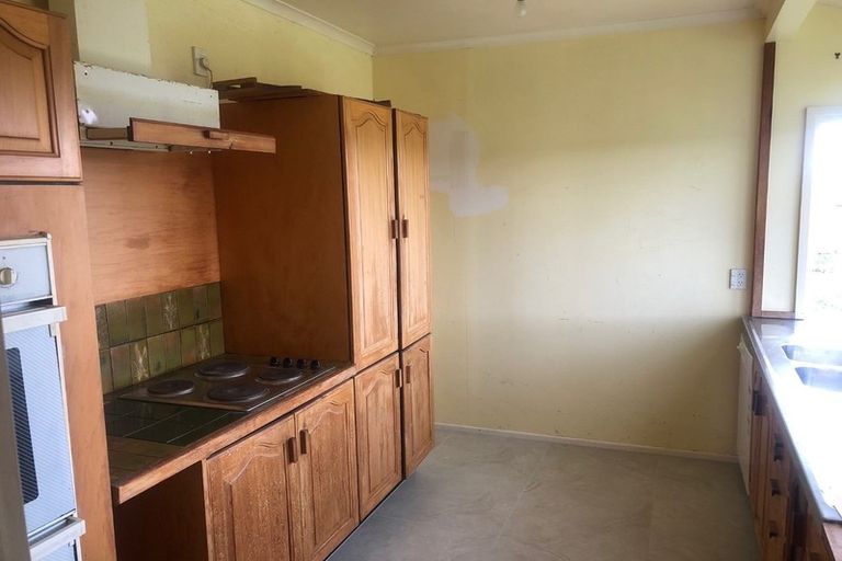 Photo of property in 99 Brookby Road, Brookby, Manurewa, 2576